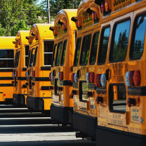 parked school buses in a row